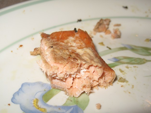 Last Salmon Bite