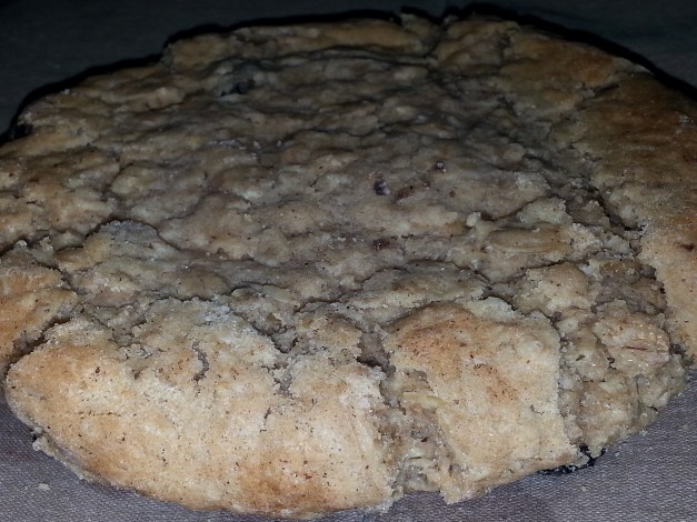 I don't know if your ready for what I'm about to show you Neo. Behold the Oatmeal Raisin UFO.