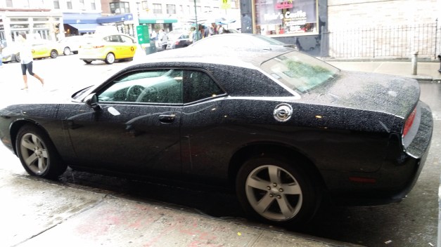 The Challenger Black