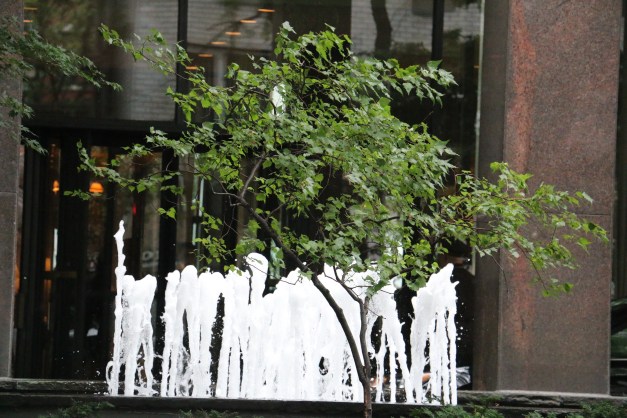 Waterfall BackGround Tree