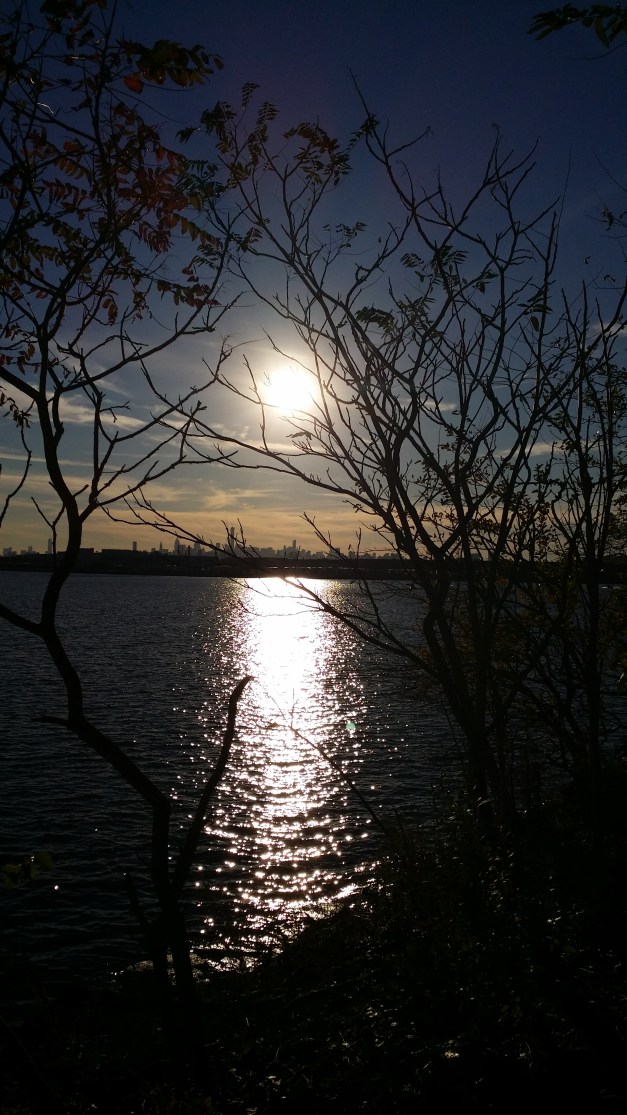 Sun Centered Branches