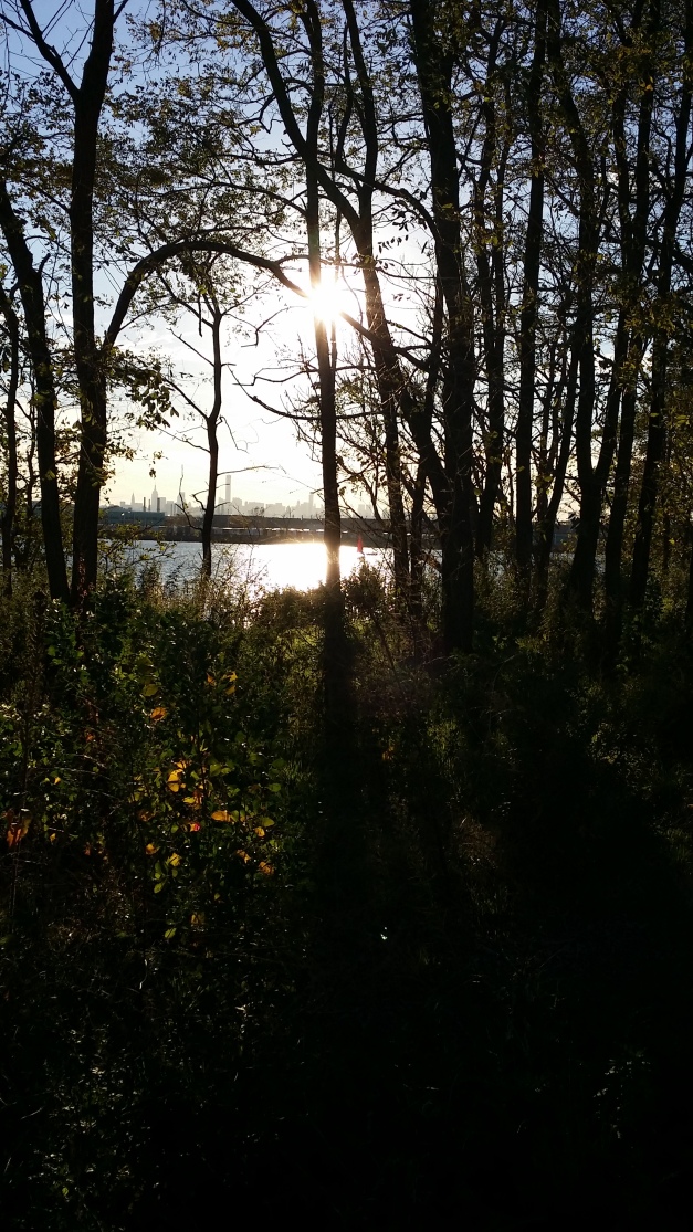 Behind the Trees & Water