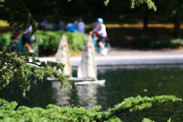 What's that In the distance?