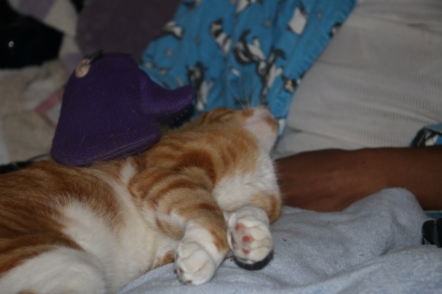 Cinnamon in Bed with Sis